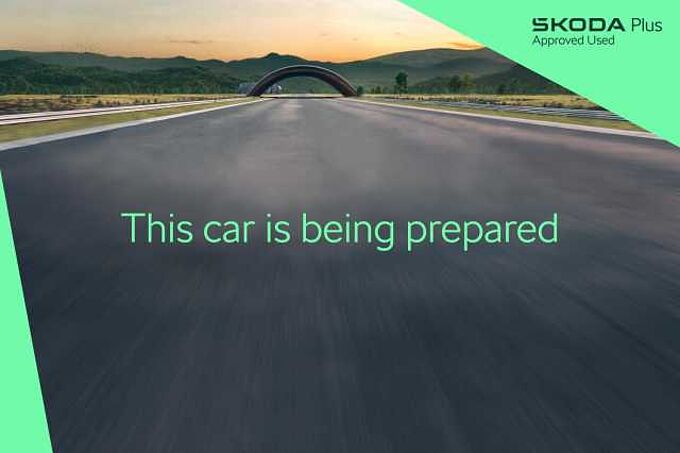SKODA Octavia 2.0 TSI vRS Hatchback 5dr Petrol DSG Euro 6 (s/s) (245 ps)