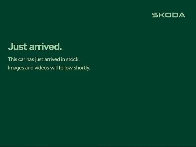 SKODA Kodiaq 1.4 TSI (150ps) SE L (5 Seats) DSG SUV